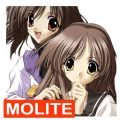 秋之回忆2@Molite