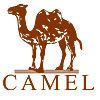 camel骆